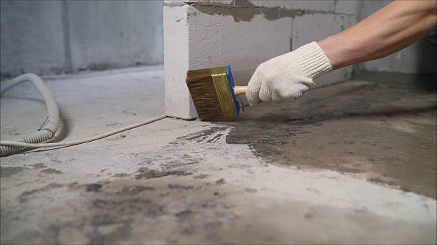 Top rated local Interior Drainage System specialists in Rose Hill, KS